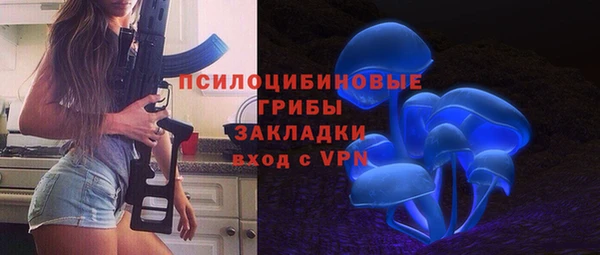 гидра Волоколамск