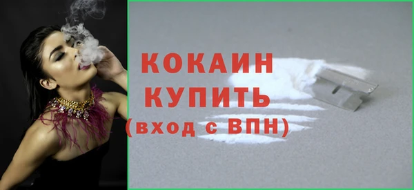 дживик Краснослободск